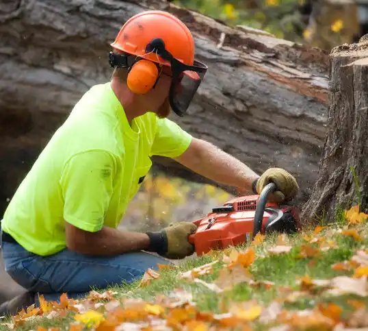 tree services Thompson Falls